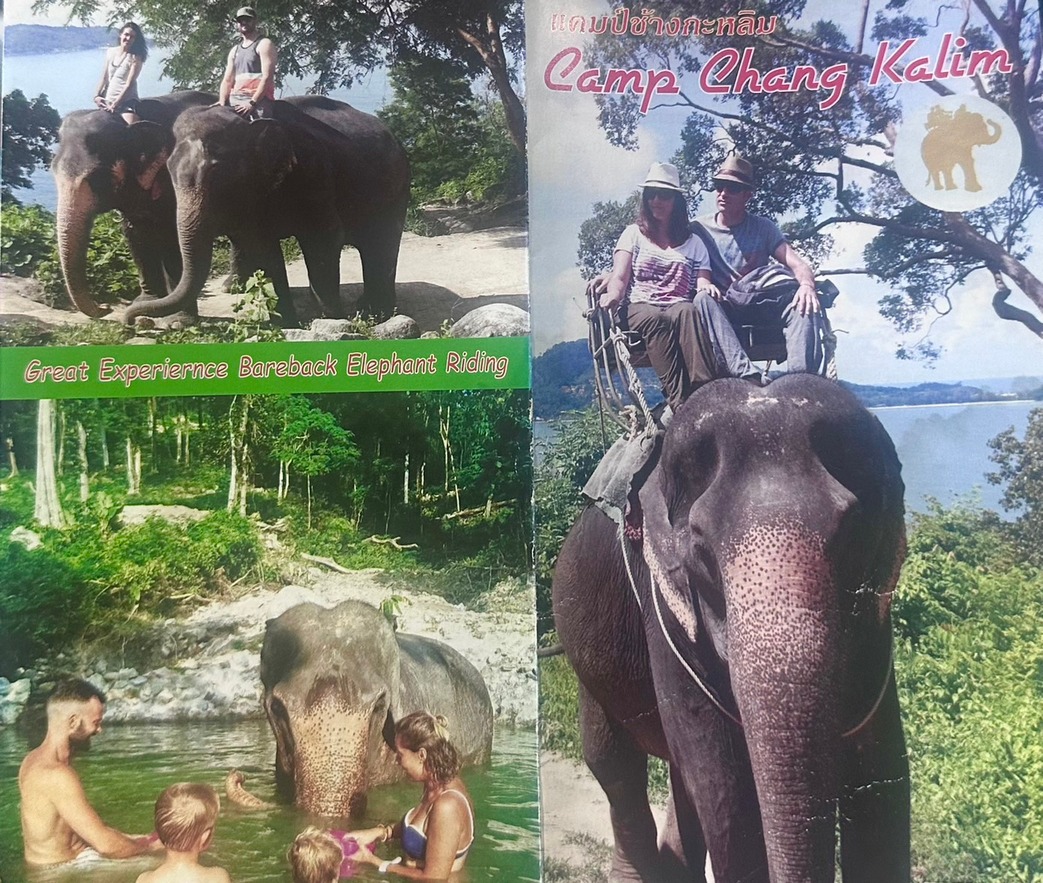 Jungle Seaview Elephant Trekking