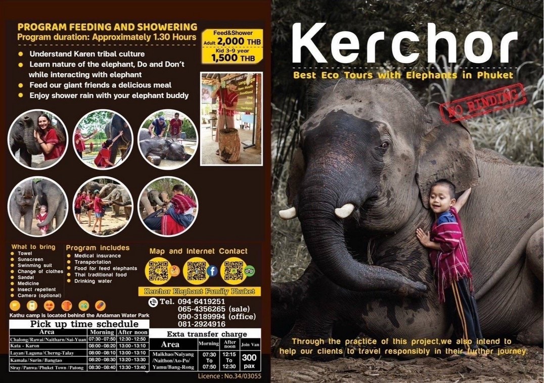 Feeding And Showering Elephants